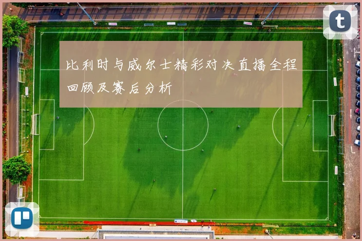 比利时与威尔士精彩对决直播全程回顾及赛后分析